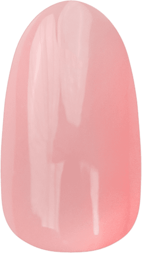 Z03